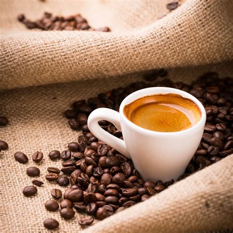 Best Italian Coffee Brands: A Deep Dive into Italy’s Coffee Culture